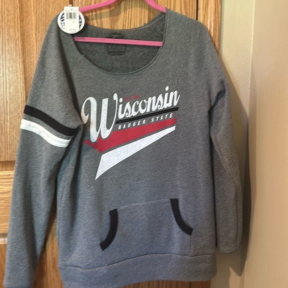Gray Wisconsin Badger State Sweatshirt - Picture 1 of 3